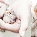 Наблюдение воспитателя. Аллергия у ребенка
